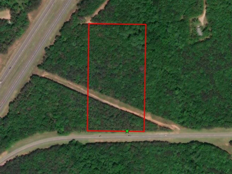 Bryant Golden Tract : Opelika : Lee County : Alabama