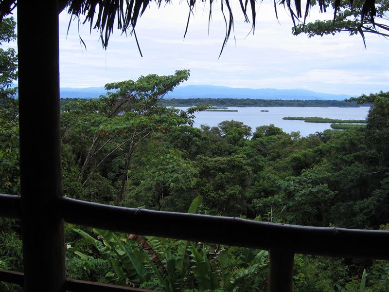 Amazing Opportunity Farm to Table : Bastimentos : Panama