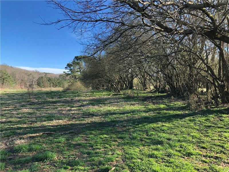 49 Acres, Talking Rock, Ga : Talking Rock : Pickens County : Georgia