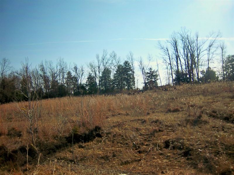 Commercial Lot in Pocahontas AR : Pocahontas : Randolph County : Arkansas