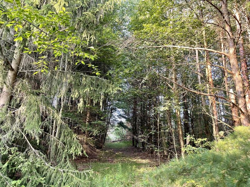 Worthington Ln, Somerset : Somerset : Somerset County : Pennsylvania