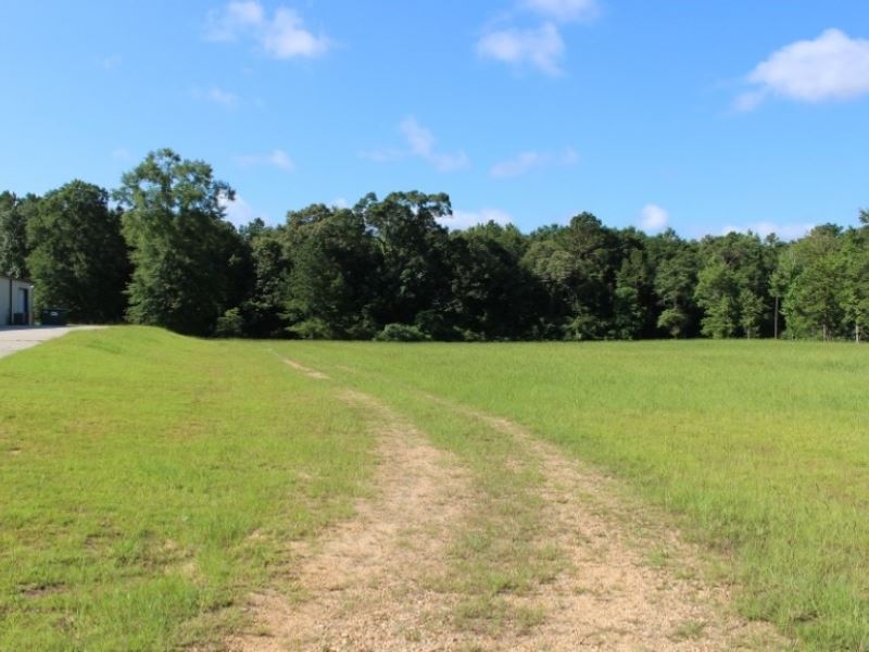 2.99 Acres in Covington County : Collins : Covington County : Mississippi
