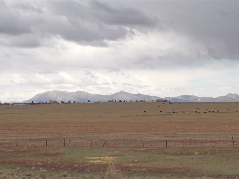 Acreage Torrance County New Mexico : Moriarty : Torrance County : New Mexico