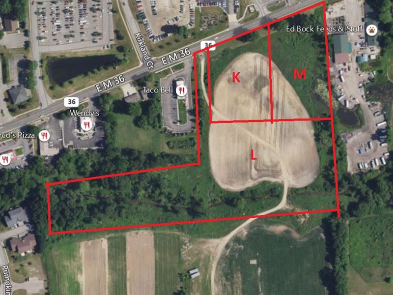 M-36 Commercial Land, 3 Parcels : Pinckney : Livingston County : Michigan