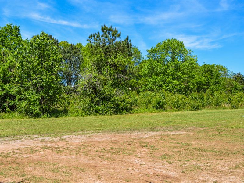 Commercial Lot On Highway 221 : Roebuck : Spartanburg County : South Carolina