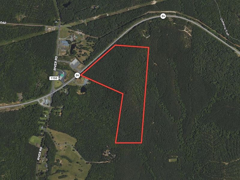 46.06 Acres of Ti : Mount Gilead : Montgomery County : North Carolina