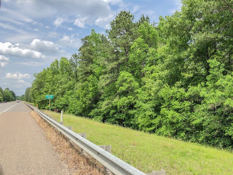 151 Acres Hwy 69 : Warren : Tyler County : Texas