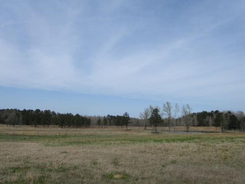 47.5 Acres in Oktibbeha County : Maben : Oktibbeha County : Mississippi