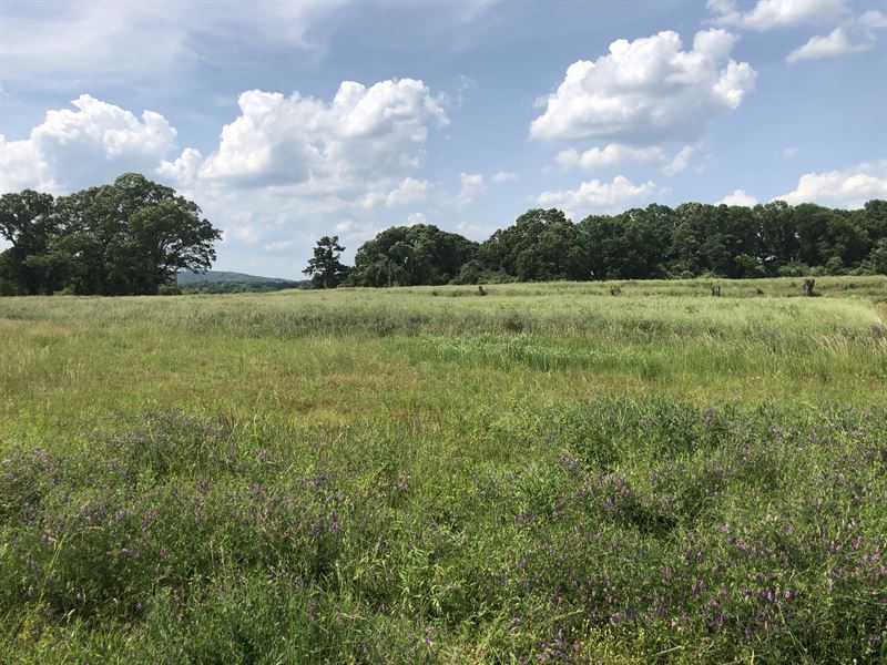 Commercial 1.5 Acres Bartow County : Cartersville : Bartow County : Georgia