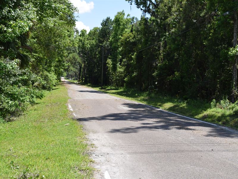 54 Acres Commercial Zoned : Brooksville : Hernando County : Florida