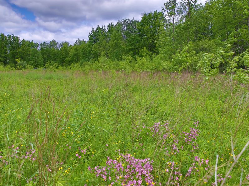 Mixed-Use Acreage Near The Lake : Bridgeport : Madison County : New York
