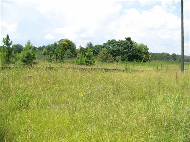 Great Commercial Lot in Cochran : Cochran : Bleckley County : Georgia