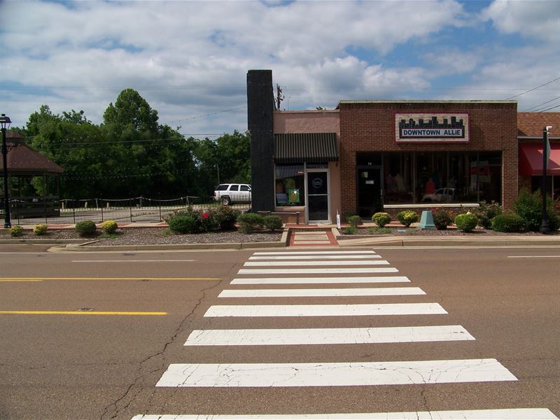 Prime Commercial Building : Adamsville : McNairy County : Tennessee