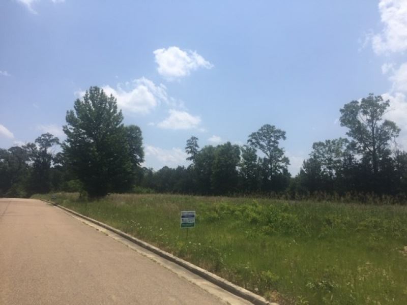 Commercial Lot for Sale McComb MS : McComb : Pike County : Mississippi