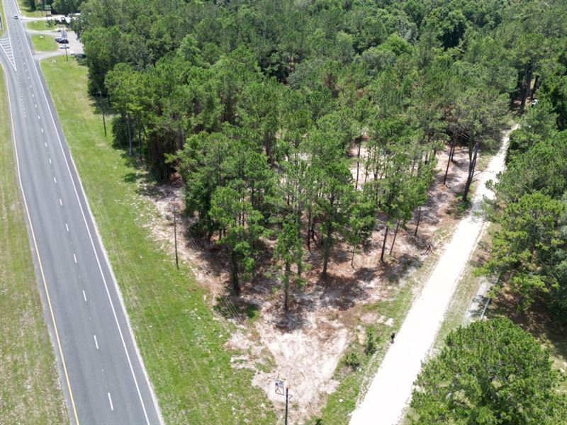 Cleared Commercial Lot-Old Town : Old Town : Dixie County : Florida