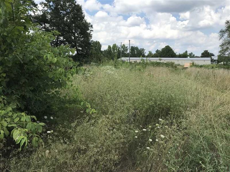 5 Acres Mol,Cave City Ar,Sharp : Cave City : Sharp County : Arkansas