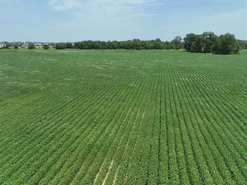 Mississippi Delta, 109 Acres Ag/De : Clarksdale : Coahoma County : Mississippi