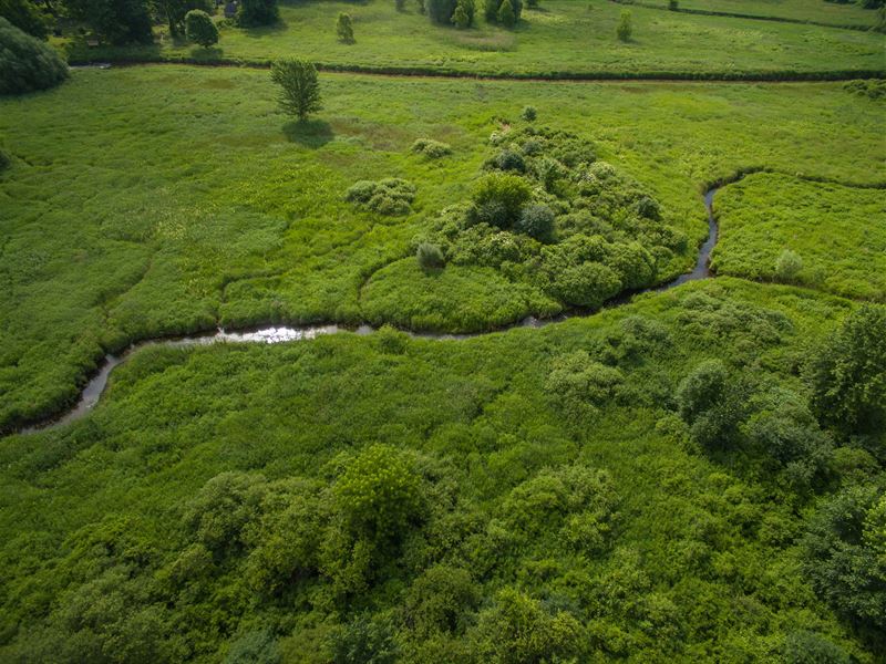 Dexter Development Opportunity : Dexter : Washtenaw County : Michigan