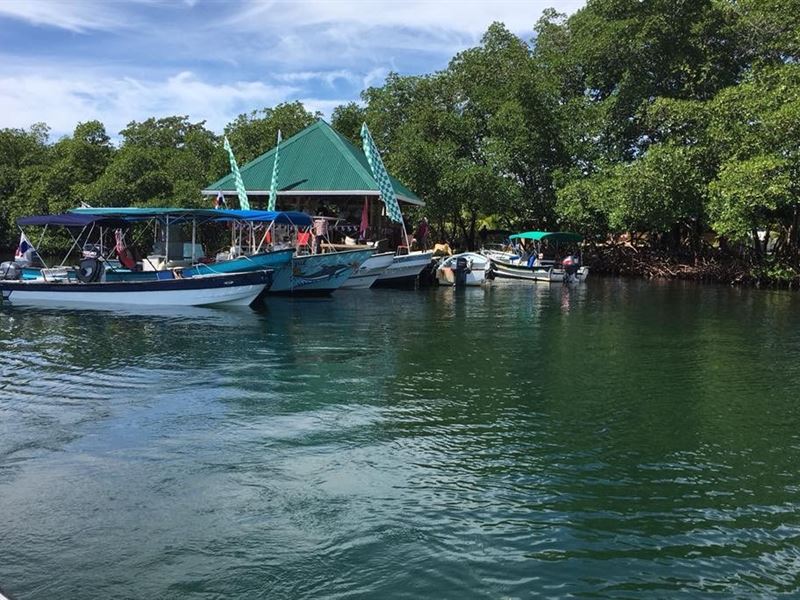 As Seen Island Hunters, Your Own : Panama