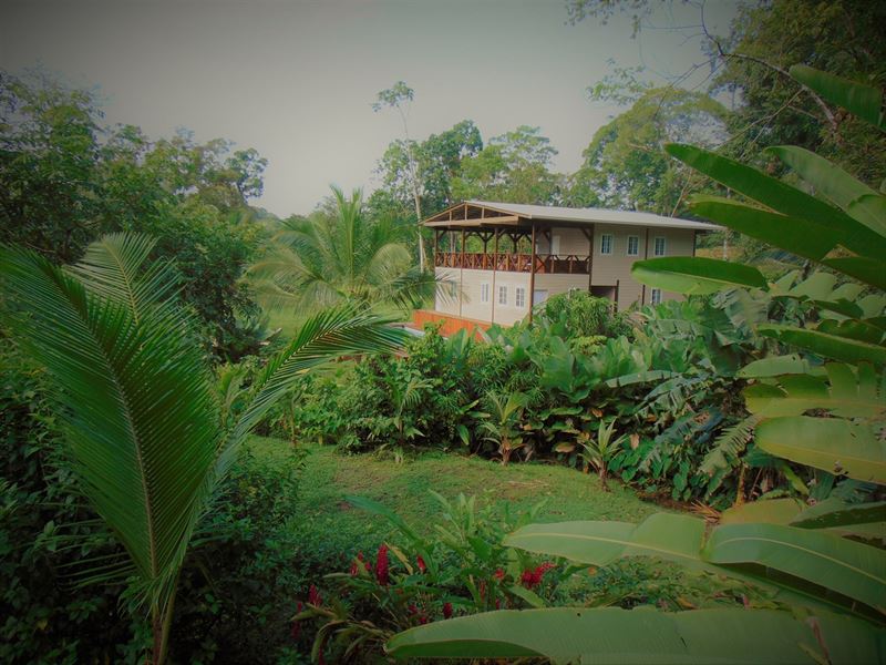 Tropical Lodge B&B Bluff Beach : Panama