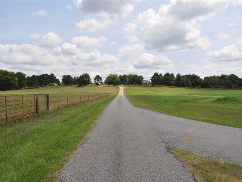 Transitional Pasture Land : Moundville : Hale County : Alabama