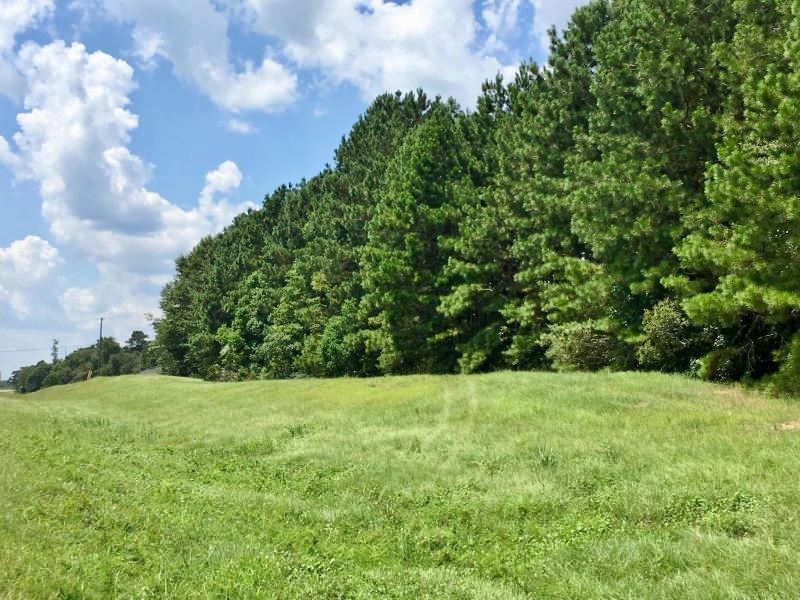 Evelyn Gandy Parkway Hwy 42 Comme : Hattiesburg : Forrest County : Mississippi