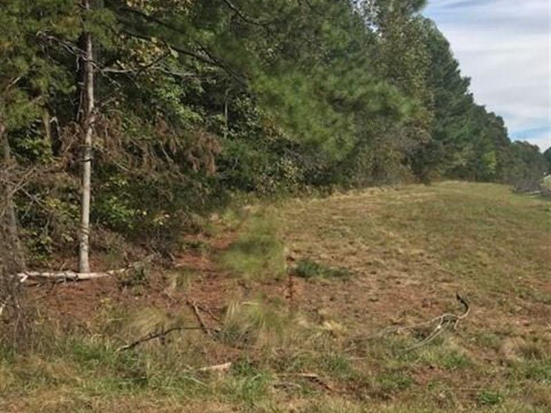 Potential Commerical Mountain Land : Jasper : Pickens County : Georgia