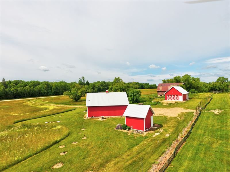 U-Pick Blueberry, Raspberry Farm : Lake Shore : Cass County : Minnesota