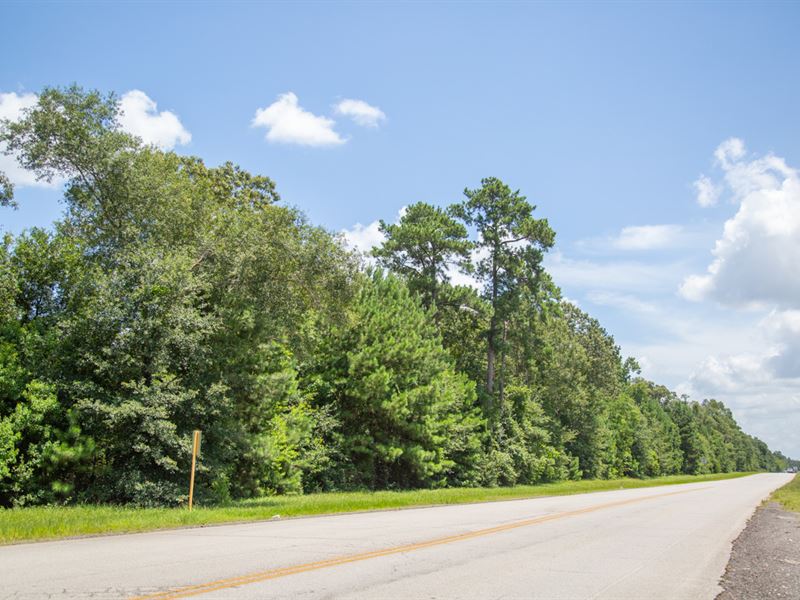 73 Ac Development Property Fm 1314 : Houston : Montgomery County : Texas