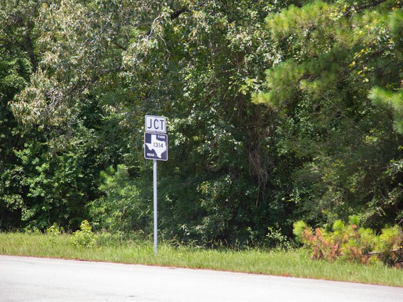 106 Ac Development Property Fm 1314 : Houston : Montgomery County : Texas
