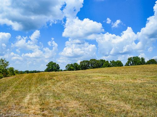 8 Acre Commercial Site : Pauline : Spartanburg County : South Carolina