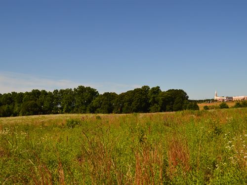 3 Acre Commercial Site : Greer : Spartanburg County : South Carolina