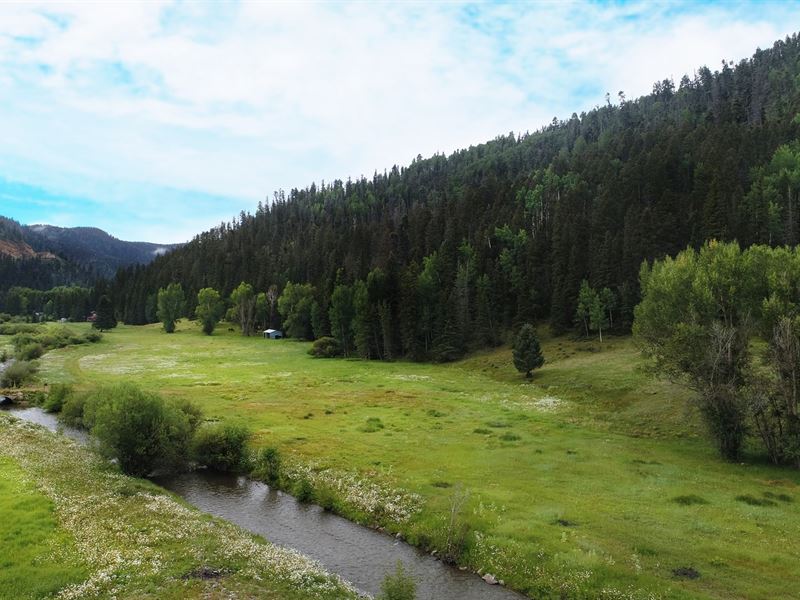 Prime Commercial Land Adjacent to : Red River : Taos County : New Mexico