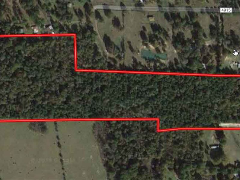 Rare Residential/Recreational Acres : Fred : Tyler County : Texas