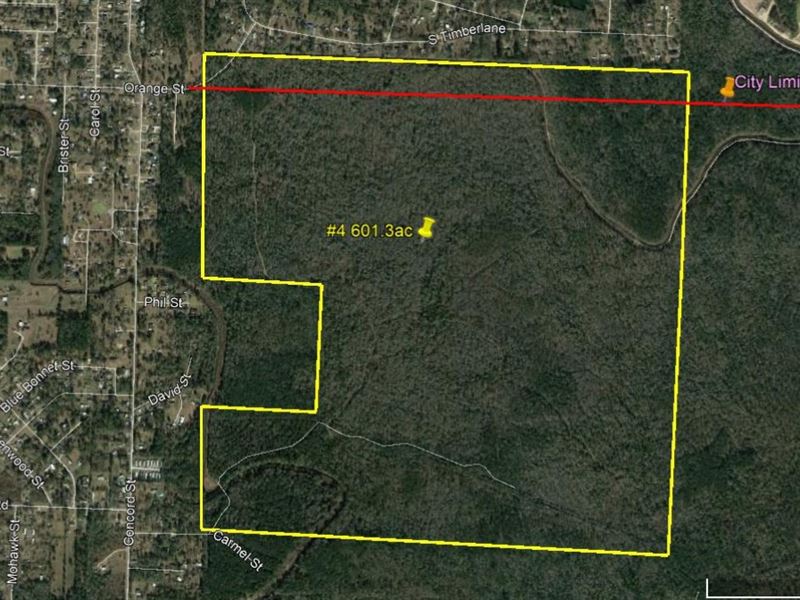 601 Acres Forested Development : Vidor : Orange County : Texas
