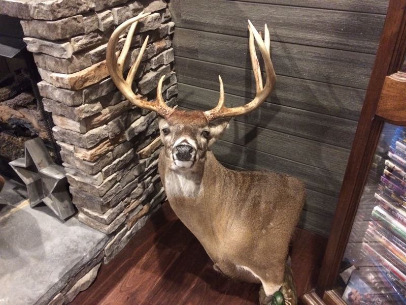 Turn Key Deer Processing Business : Americus : Sumter County : Georgia