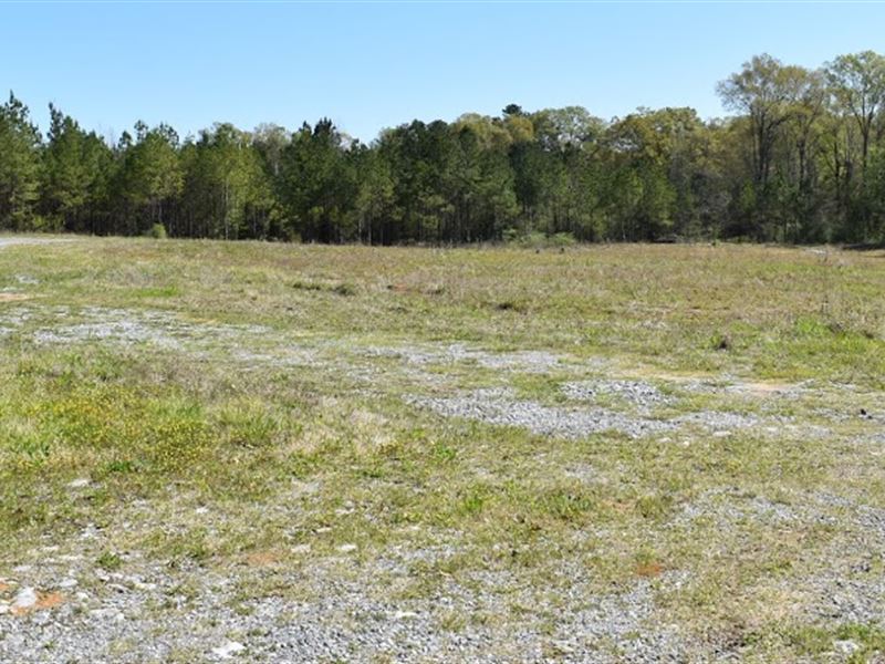 Commercial Opportunity : Vincent : Shelby County : Alabama