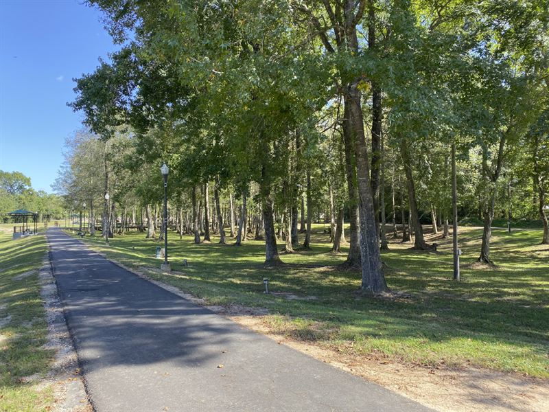 26 Acres Peachtree Street : Jasper : Jasper County : Texas