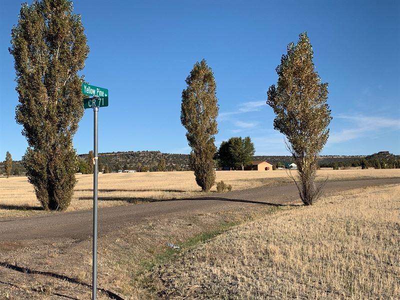 Cal Pines Lake Unit Lot for Sale, Property for Sale in California, 219100 COMMERCIALFLIP