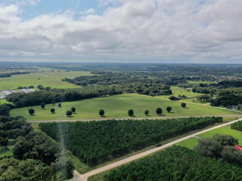 26 Acres on US 98 for Res Dev : Elfers : Pasco County : Florida