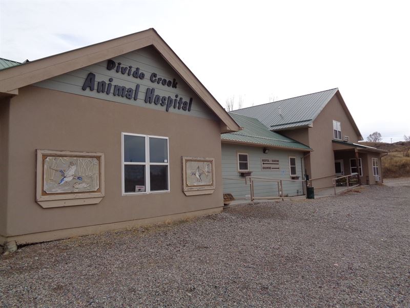 Silt, CO Commercial Property : Silt : Garfield County : Colorado