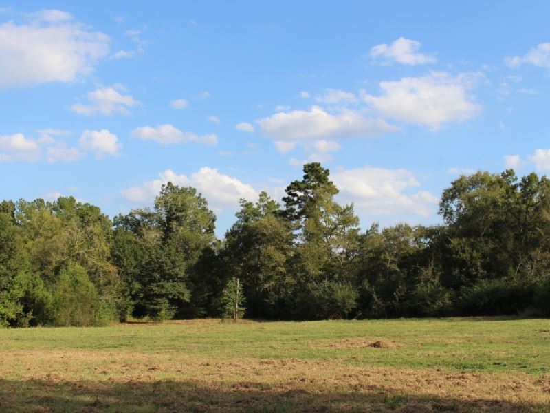 5 Easy Acres : Montgomery : Montgomery County : Texas