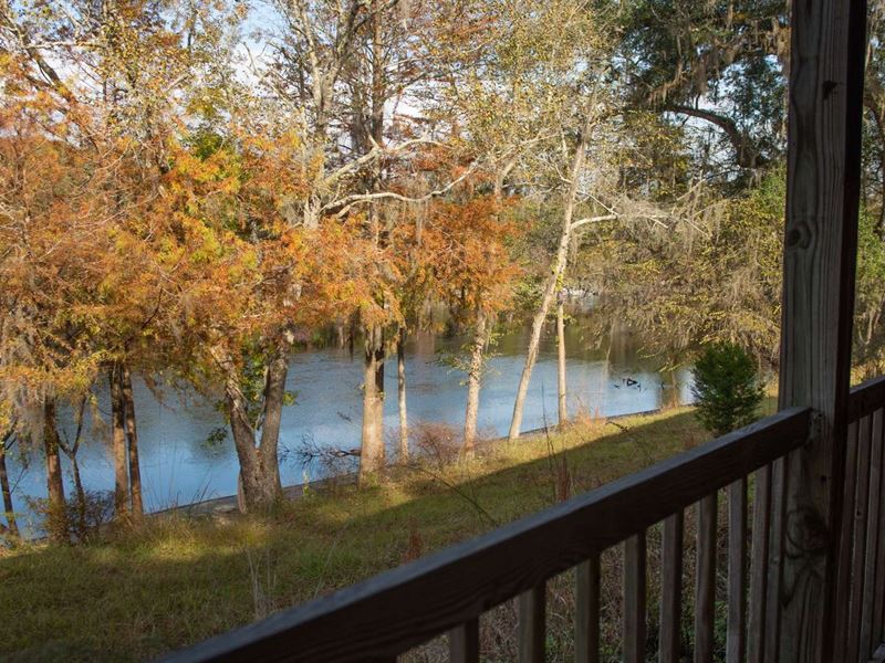 Campground Suwannee River Florida : Branford : Suwannee County : Florida