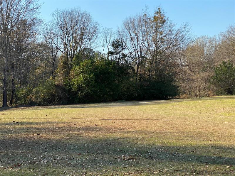 Tyler Texas Land East Texas Smith : Tyler : Smith County : Texas