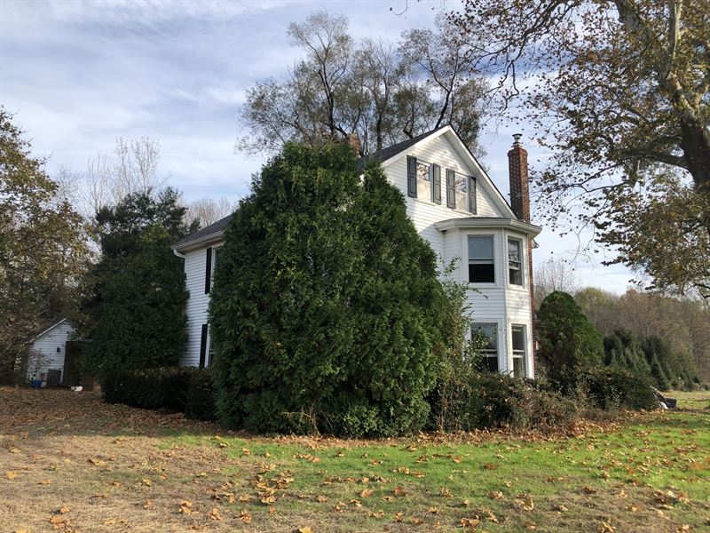 Nursery & Christmas Tree Farm : New Egypt : Ocean County : New Jersey