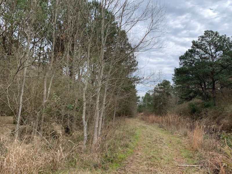 8.4 Commercial Acres in Jones Count : Laurel : Jones County : Mississippi