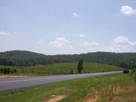 125 Acres - Great Location For Dev. : Odenville : Jefferson County : Alabama