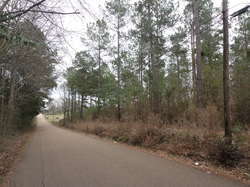Commerical Land Lincoln County : Brookhaven : Lincoln County : Mississippi