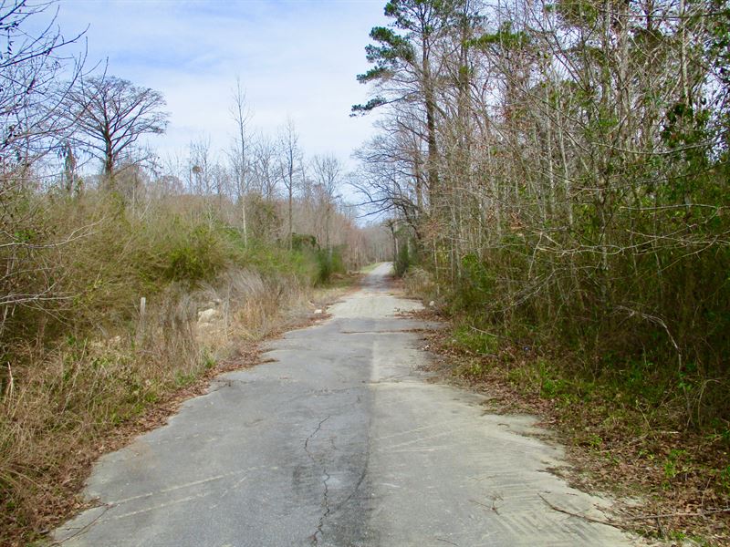 Land for Sale in Beaufort County NC : Chocowinity : Beaufort County : North Carolina