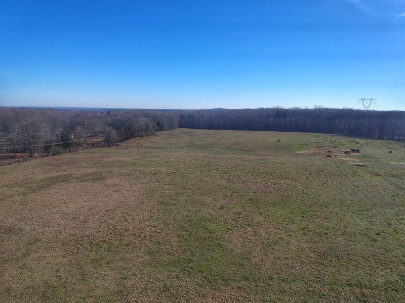 Reedy Creek Development Opportunity : Laurens : Laurens County : South Carolina